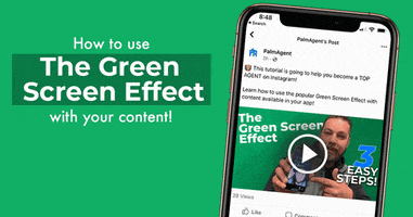 PalmAgent palmagent GIF