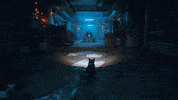 Cat Game GIF by Annapurna Interactive