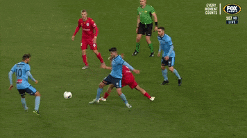 Sydney Fc Football GIF by Hyundai A-League