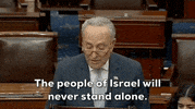 Chuck Schumer Israel GIF by GIPHY News