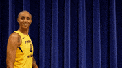 candice dupree dancing GIF by Indiana Fever