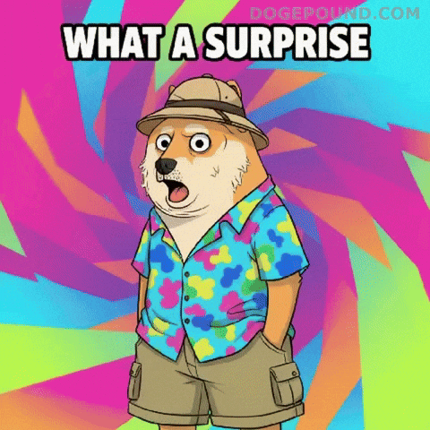 Shiba Inu Wow GIF by Doge Pound