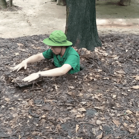 Hide Bbl GIF by hamlet