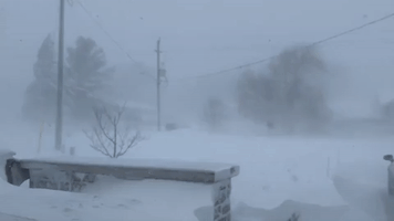 Blizzard Conditions Whiten Ontario on Christmas Eve