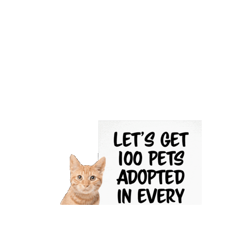 Cat Save Them All Sticker by Best Friends Animal Society