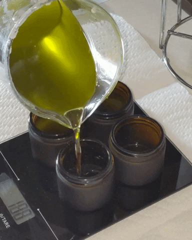 charleswarrengifs giphyupload GIF