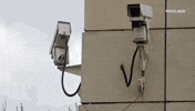 viceland GIF by Black Market
