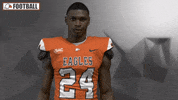 Cnfb GIF by Carson-Newman Athletics