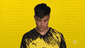 Borussia Dortmund GIF by Bundesliga