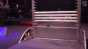 Wiener Dog Running GIF by segalcentre