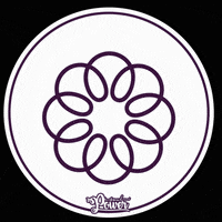 soulpowerbrasil beauty hair cabelo amo GIF