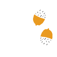 freshcreativeagency white latvia acorn oak Sticker