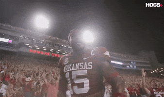 College Pig GIF by Hogs+