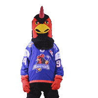 Bailey Whitney Sticker by Iserlohn Roosters