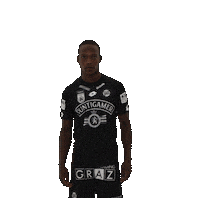 Sturmgraz Lema Sticker by SK Sturm