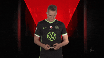 Happy Fifa GIF by Bundesliga