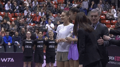 Panova GIF