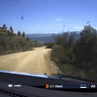 Driving Fast Car GIF by FIA World Rally Championship