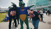 Alligator Celebrate GIF by San Francisco State University