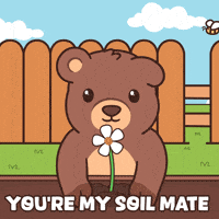 Teddy Bear Flower GIF by BEARISH