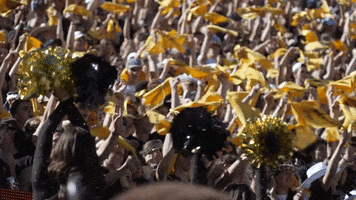 University Of Colorado Coloradobuffaloes GIF by CUBoulder