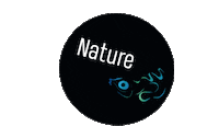 rivadelsolbeachresort nature riva del sol rivadelsol privatepool Sticker