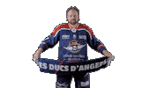 Ducs Dangers Hockey Sticker by Les Ducs d'Angers