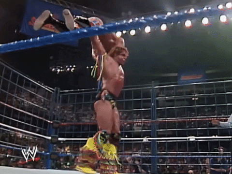 Ultimate Warrior Wrestling GIF by WWE
