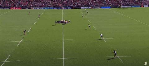 lorenzocalamai giphyupload GIF