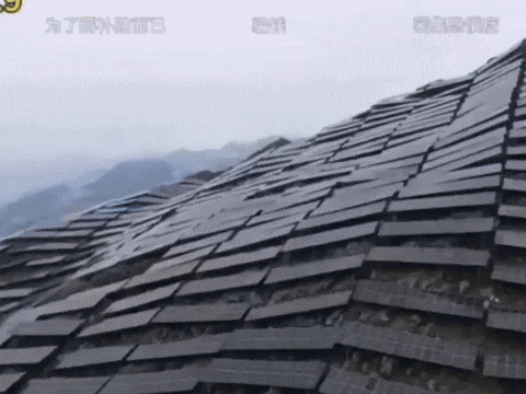 whatphilosophise giphyupload GIF