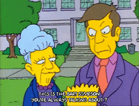 Season 1 Grace Skinner GIF by The Simpsons