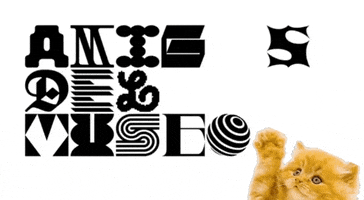 museomacrorosario amistad amigo amiga feliz dia GIF