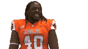 Head Shake Sticker by Carson-Newman Athletics