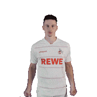 Soccer Celebrate Sticker by 1. FC Köln