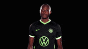 Josuha Guilavogui Love GIF by VfL Wolfsburg