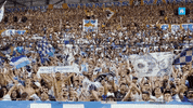 Football Sport GIF by Olympique de Marseille