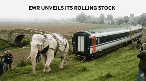 White Elephant GIF by Exposed Tech