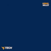 Wvu Tech GIF by WVU Tech Golden Bears