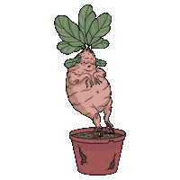 Plant Luna Sticker