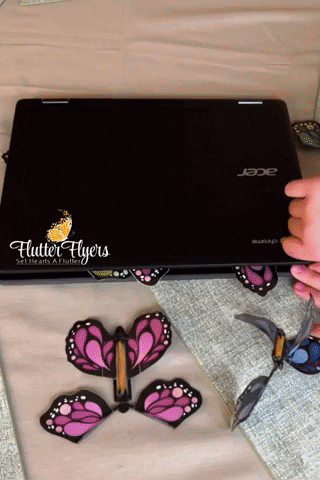 alihassanshah giphyupload GIF