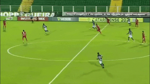 nsc_total giphyupload GIF