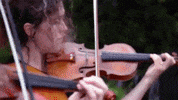 georgel love happy music music video GIF