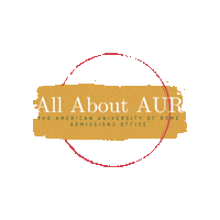 Study Abroad Sticker by American University of Rome