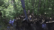 travel swimming GIF