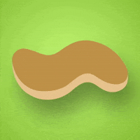 wry_fungi flip pancake GIF