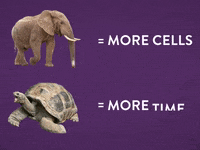 Health Be Smart GIF by PBS Digital Studios