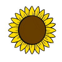 abbeysy flower spring bloom sunflower Sticker