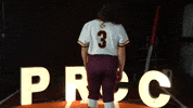 Softball Juco GIF by Pearl River Athletics