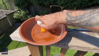 Man Fries Egg in Pan Outside Amid Heat Wave