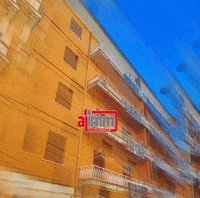 GIF by Aiimm